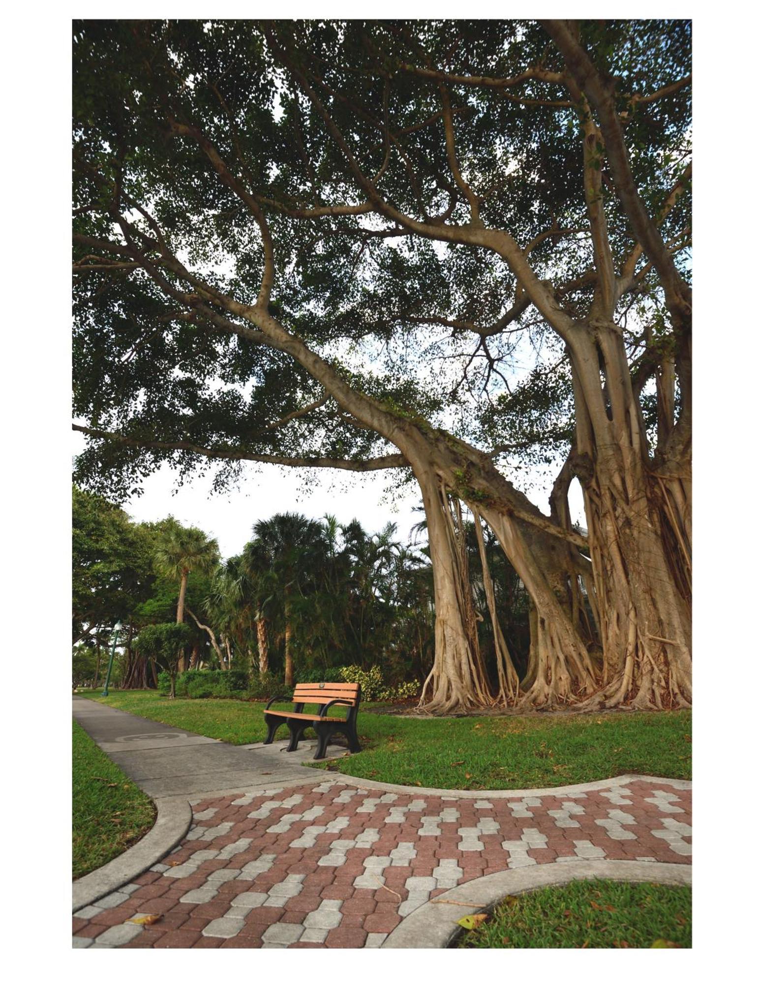 Dog Friendly Condo With Beach Access, Hot Tub, Firepit West Palm Beach Zewnętrze zdjęcie